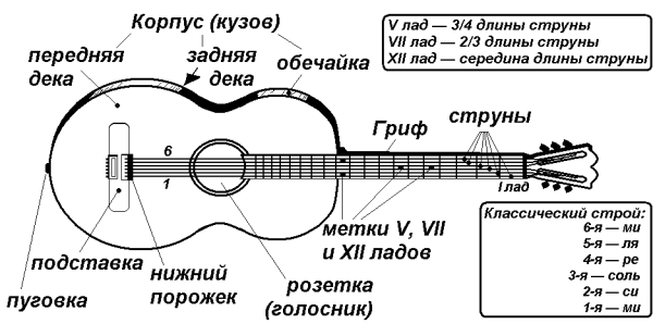 Звук настройки струн. Строение гитары 6-ти струнной электрогитары. Гитара акустическая 6 струнная схема. Схема гитары струн акустической гитары. Настройка акустической гитары 6 струн схема.